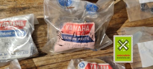 IMG_20230916_133157